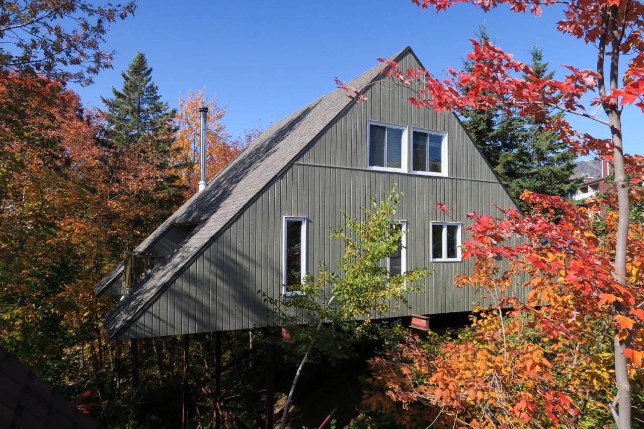 Chalet Familial Du Plateau Beaupré Eksteriør billede
